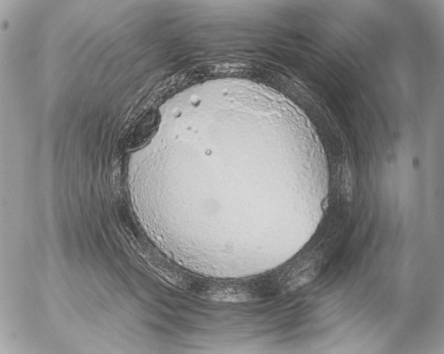 X0000052580557200507292035