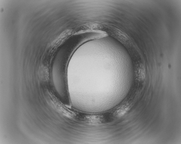 X0000052580558200507292035