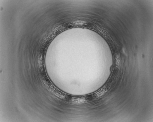 X0000052580559200507292035