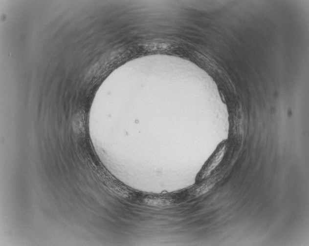 X0000052580561200507292035