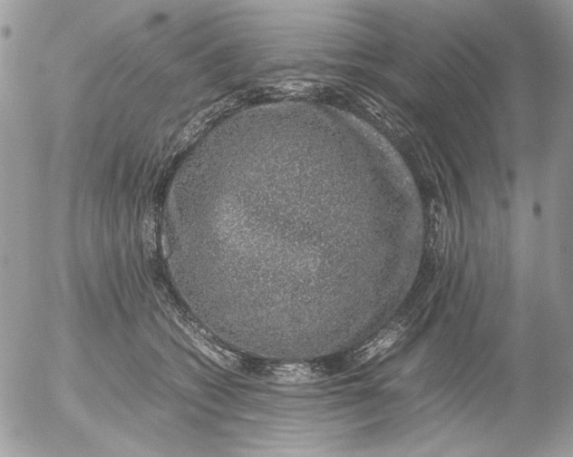 X0000052580562200507292035