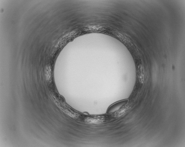 X0000052580563200507292035