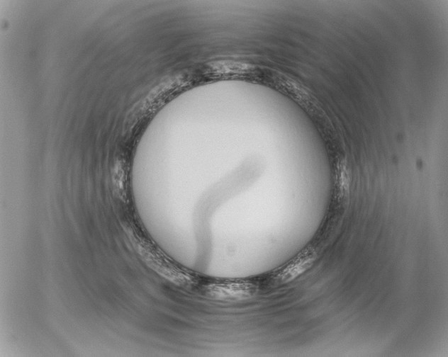 X0000052580567200507292035