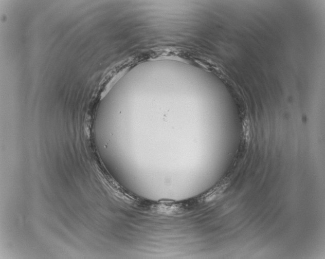 X0000052580570200507292035