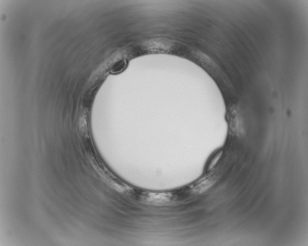 X0000052580573200507292035