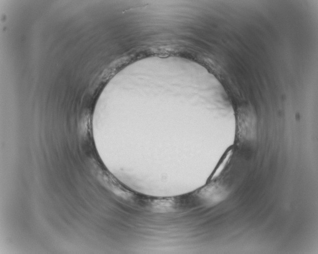 X0000052580574200507292035