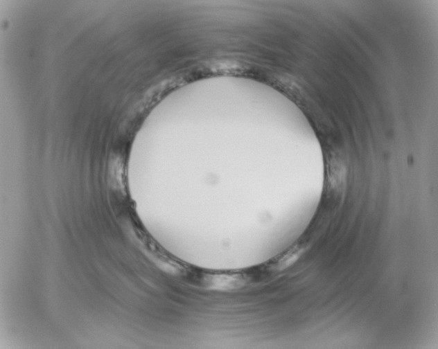 X0000052580575200507292035