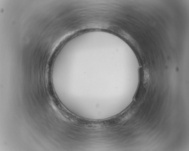 X0000052580580200507292034