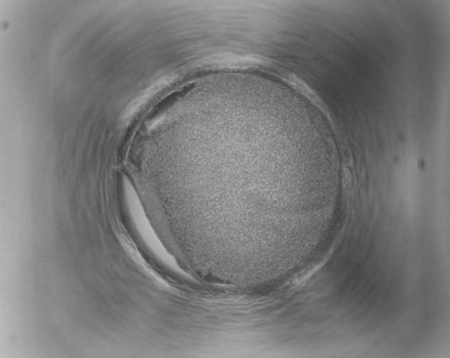 X0000052580581200507292034