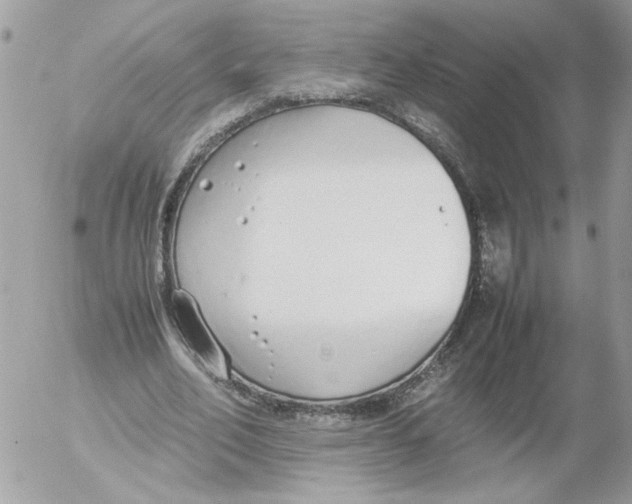 X0000052580582200507292034