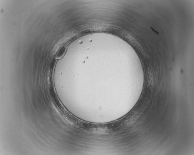 X0000052580586200507292034