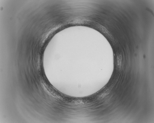 X0000052580588200507292034