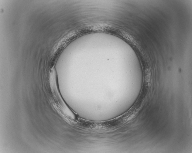 X0000052580589200507292034