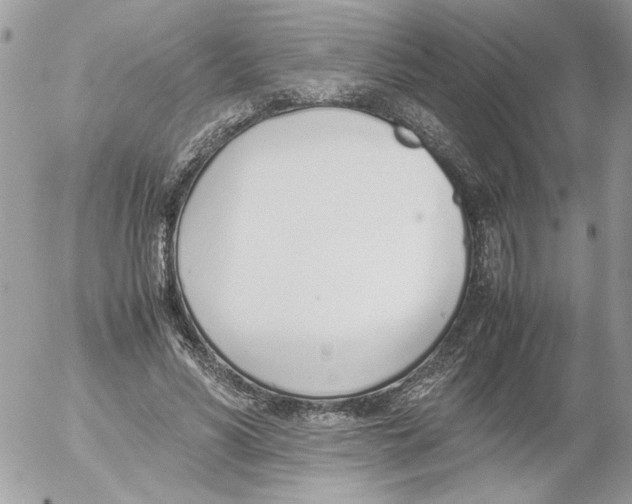 X0000052580590200507292034