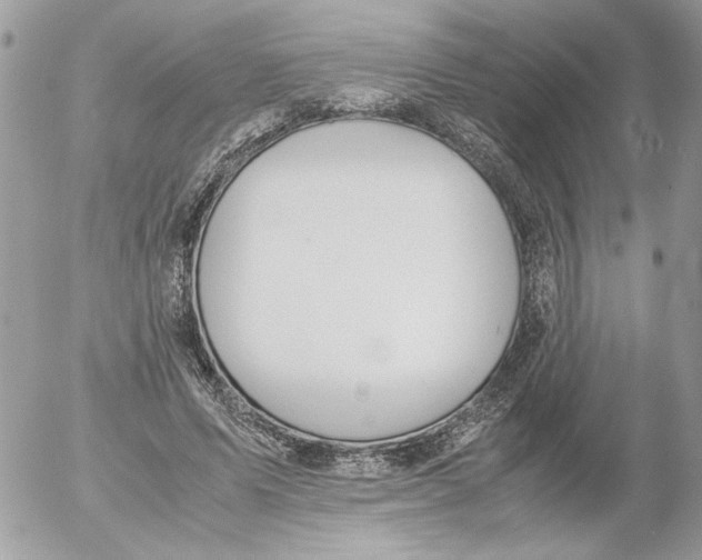 X0000052580591200507292034