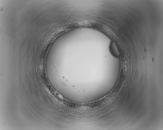 X0000052580593200507292034