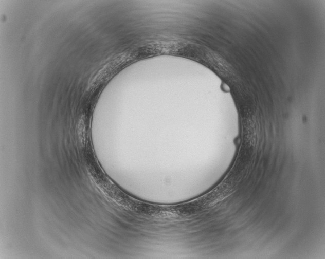 X0000052580594200507292034