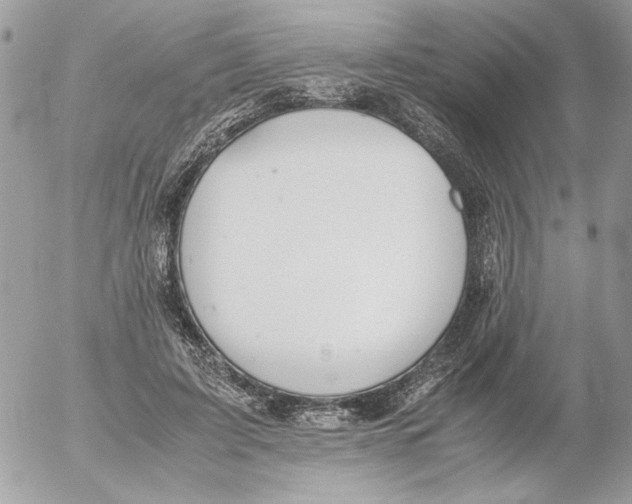 X0000052580595200507292034