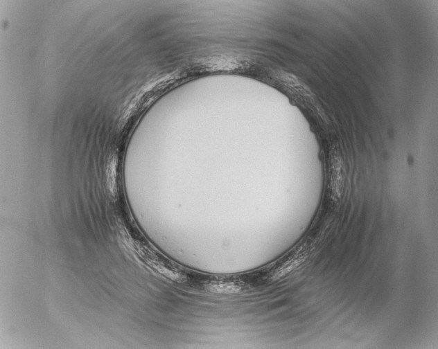 X0000052580596200507292034