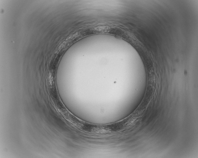 X0000052580597200507292034