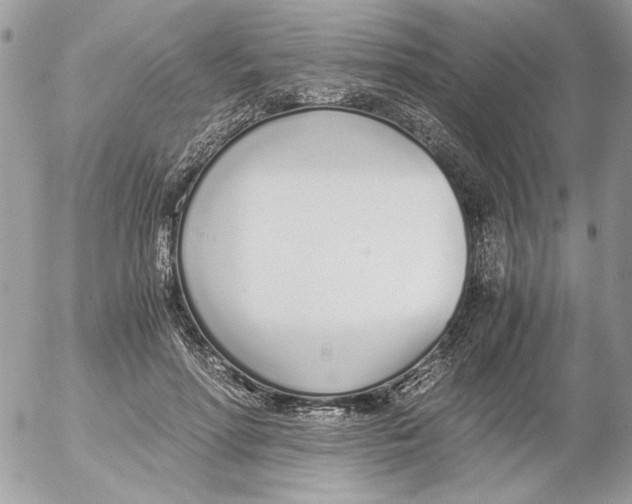 X0000052580598200507292034