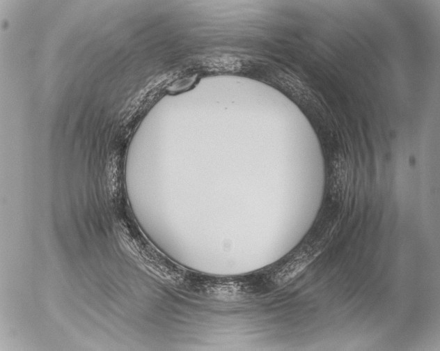 X0000052580600200507292034