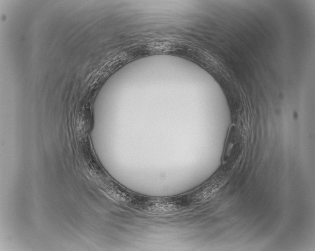 X0000052580601200507292034