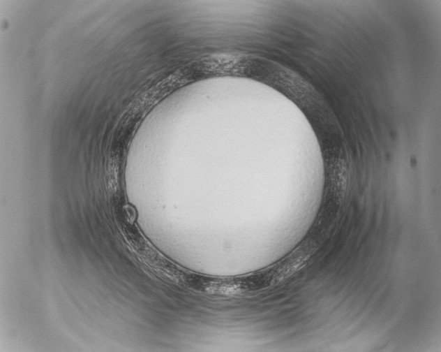 X0000052580602200507292034