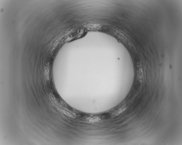 X0000052580604200507292034