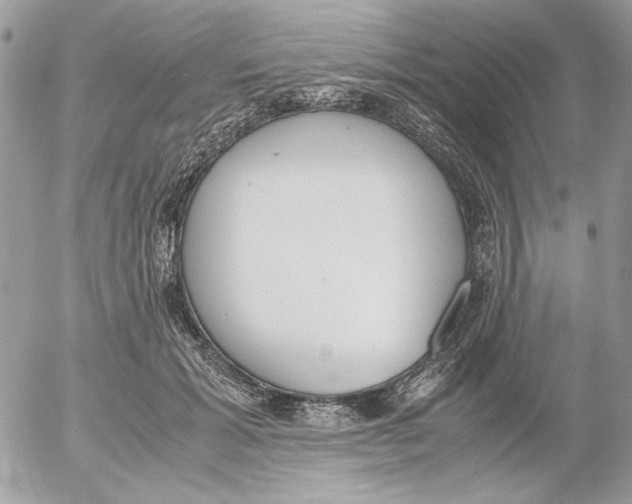 X0000052580605200507292034