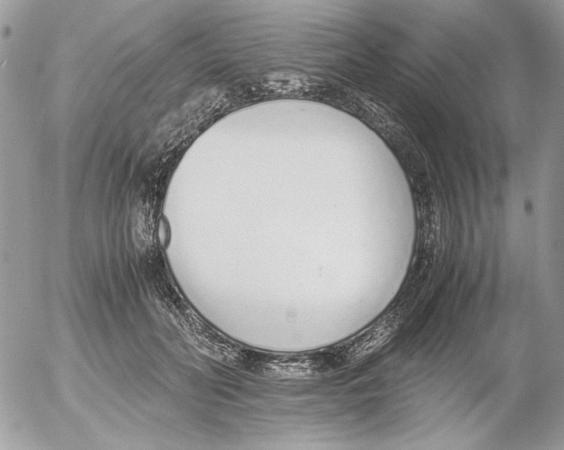 X0000052580606200507292034