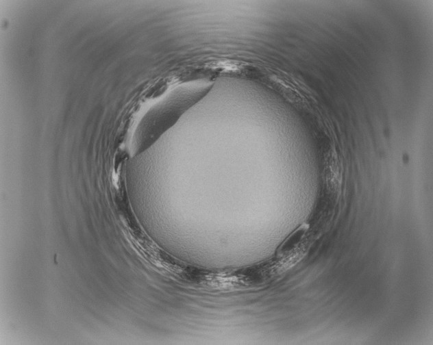 X0000052580607200507292034