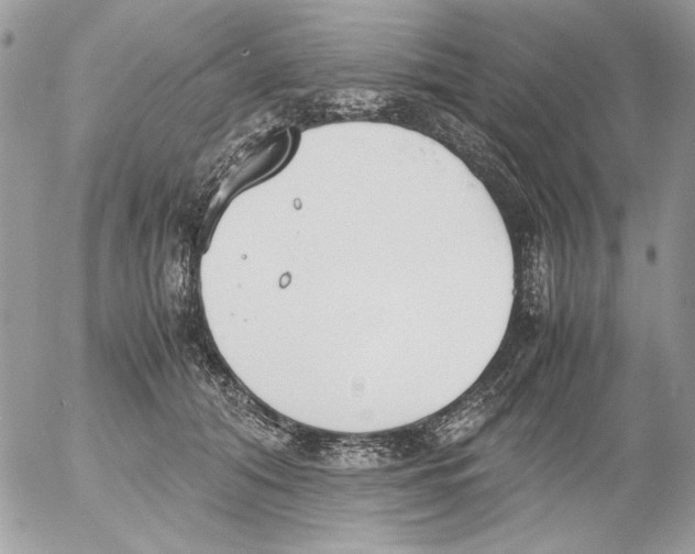 X0000052580608200507292034