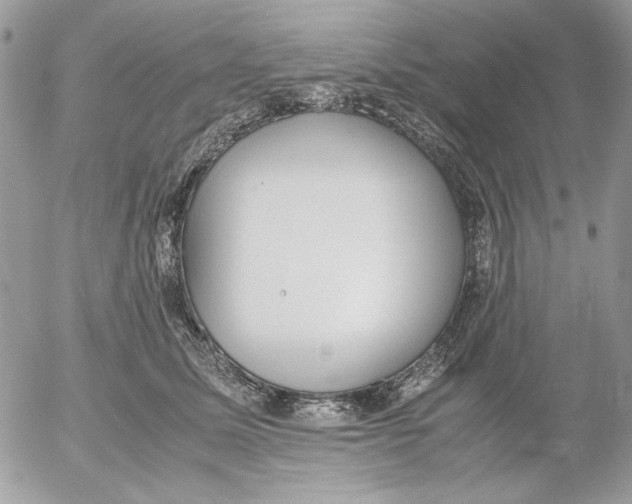 X0000052580611200507292034