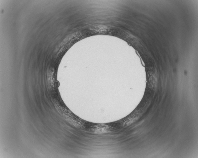 X0000052580612200507292034