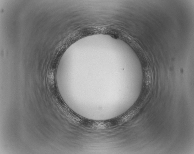 X0000052580613200507292034