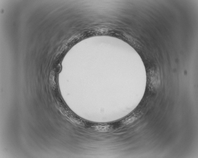 X0000052580615200507292034