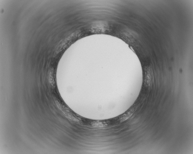 X0000052580616200507292034