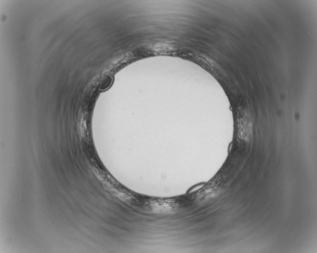 X0000052580618200507292034