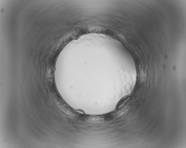 X0000052580619200507292033