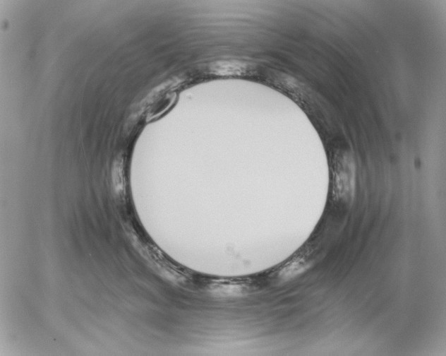 X0000052580620200507292033