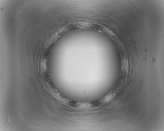 X0000052580621200507292033