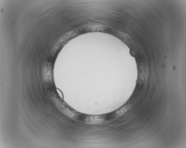 X0000052580622200507292033