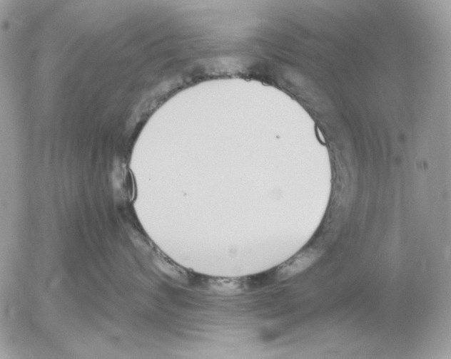 X0000052580624200507292033