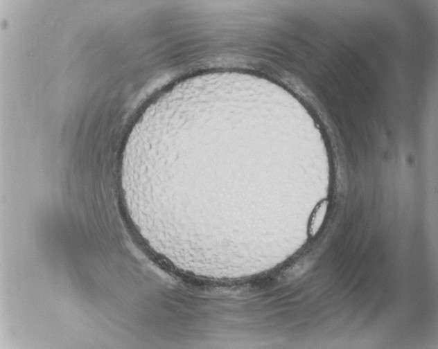 X0000052580625200507292033