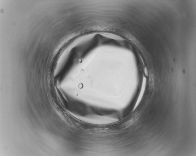 X0000052580626200507292033