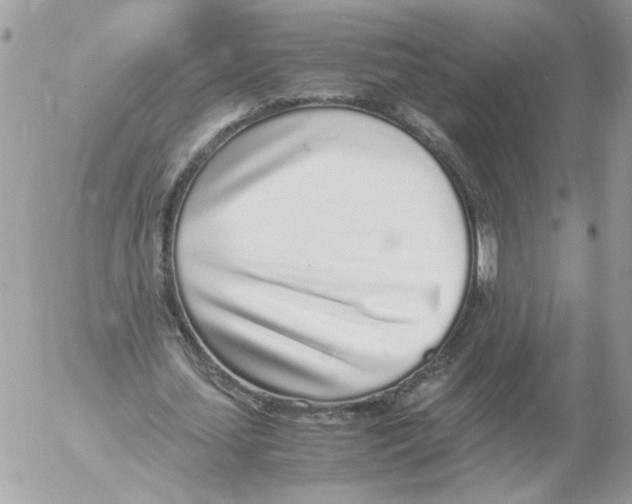 X0000052580627200507292033