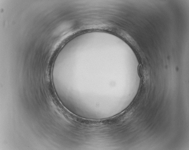 X0000052580628200507292033