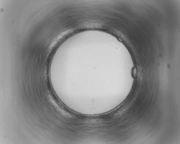 X0000052580629200507292033