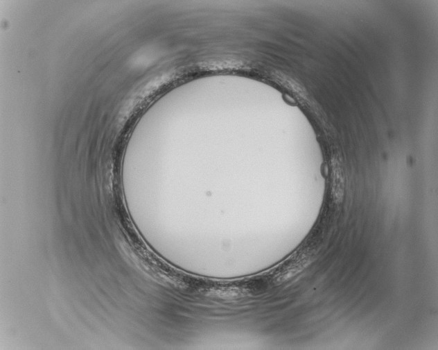 X0000052580631200507292033